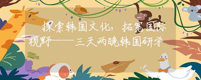 ‌探索韩国文化，拓宽国际视野——三天两晚韩国研学
