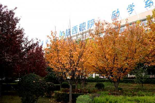 西安航空职业技术学院